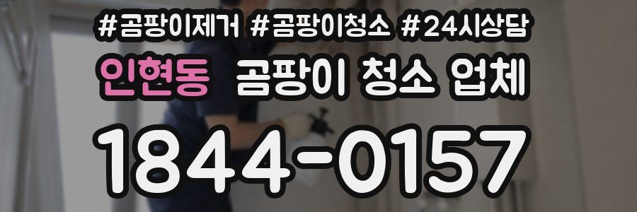 인현동 곰팡이 청소 업체