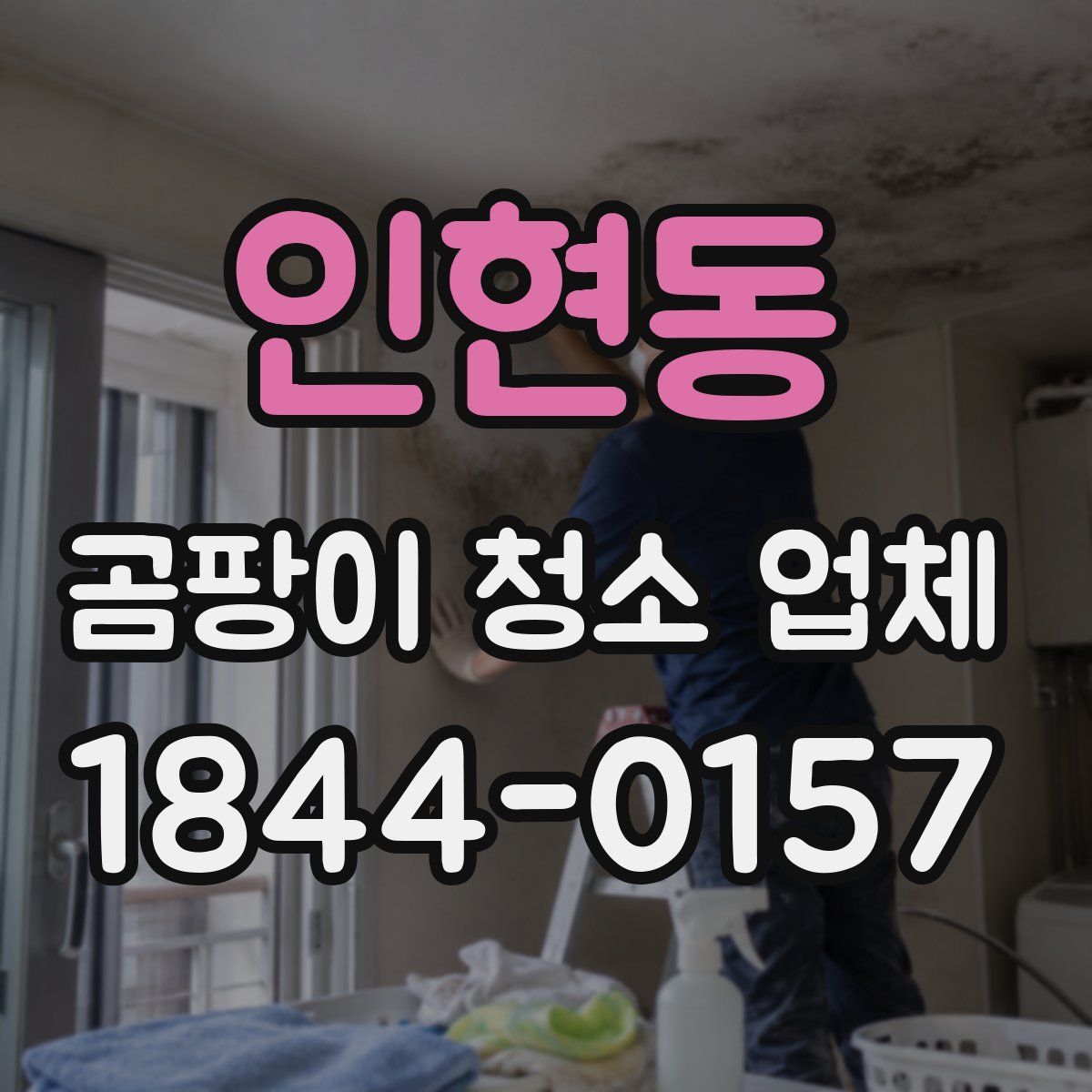 인현동 곰팡이 청소 업체