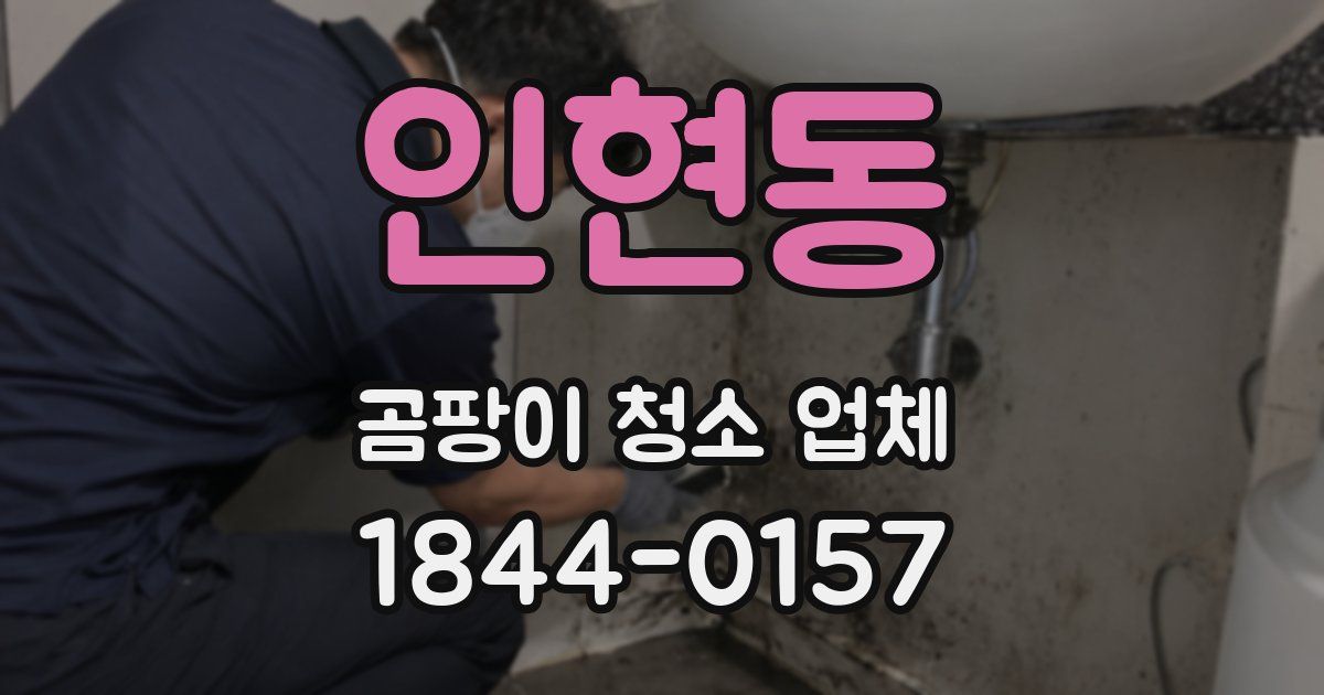 인현동 곰팡이 청소 업체