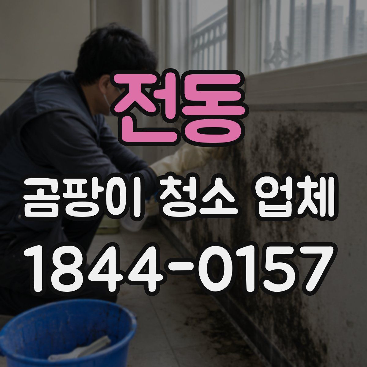 전동 곰팡이 청소 업체