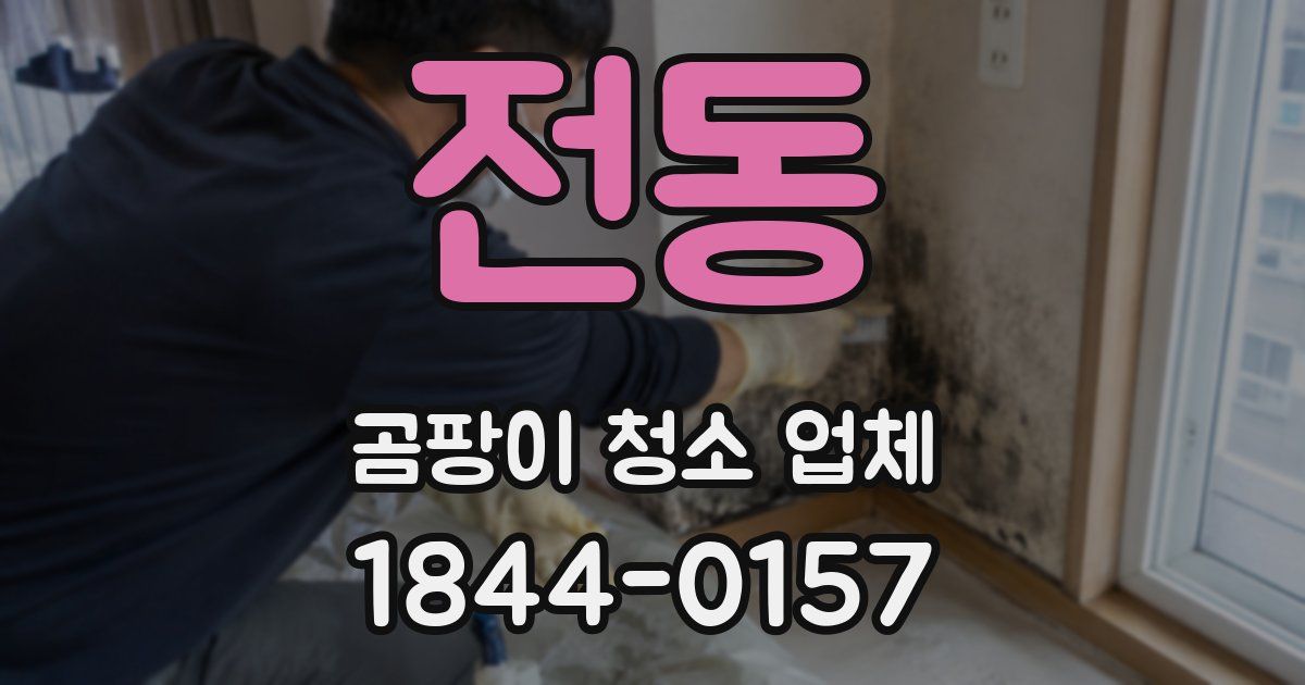 전동 곰팡이 청소 업체