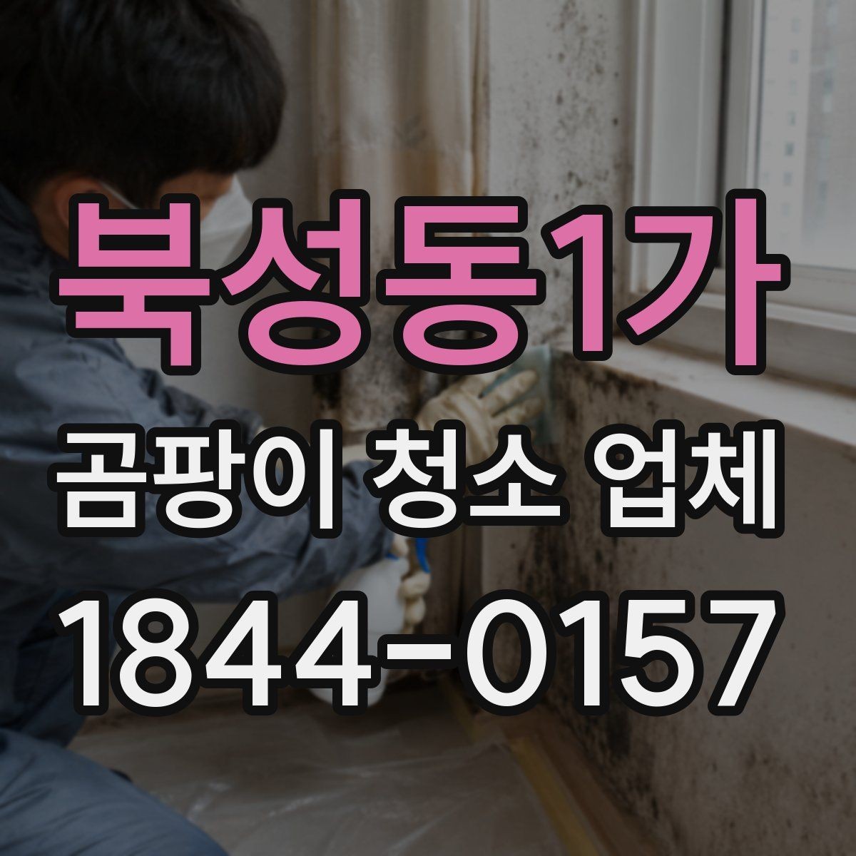 북성동1가 곰팡이 청소 업체 천장과 창틀 오염이 번졌을 때 확인할 항목