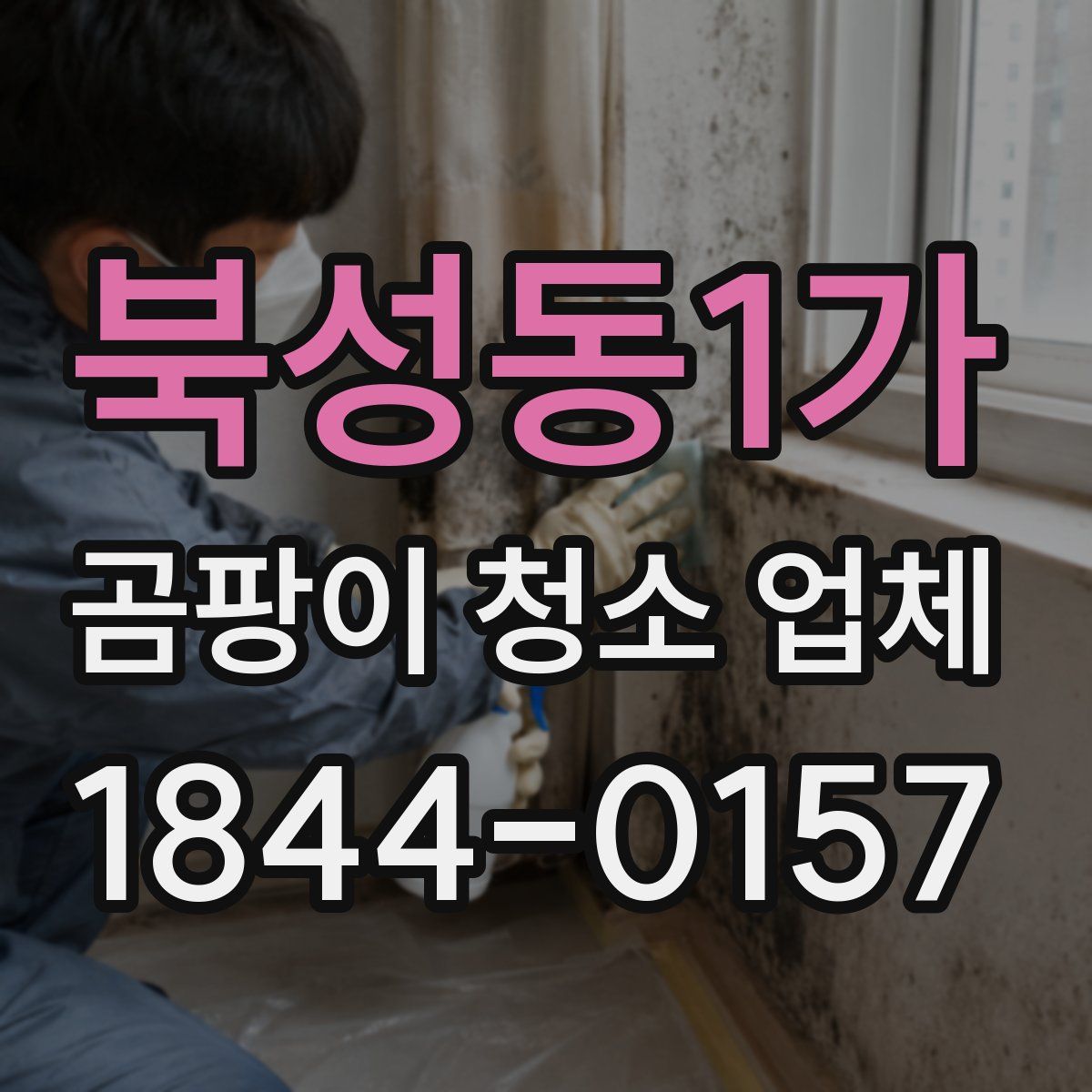 북성동1가 곰팡이 청소 업체