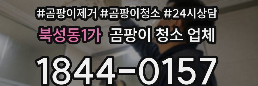 북성동1가 곰팡이 청소 업체