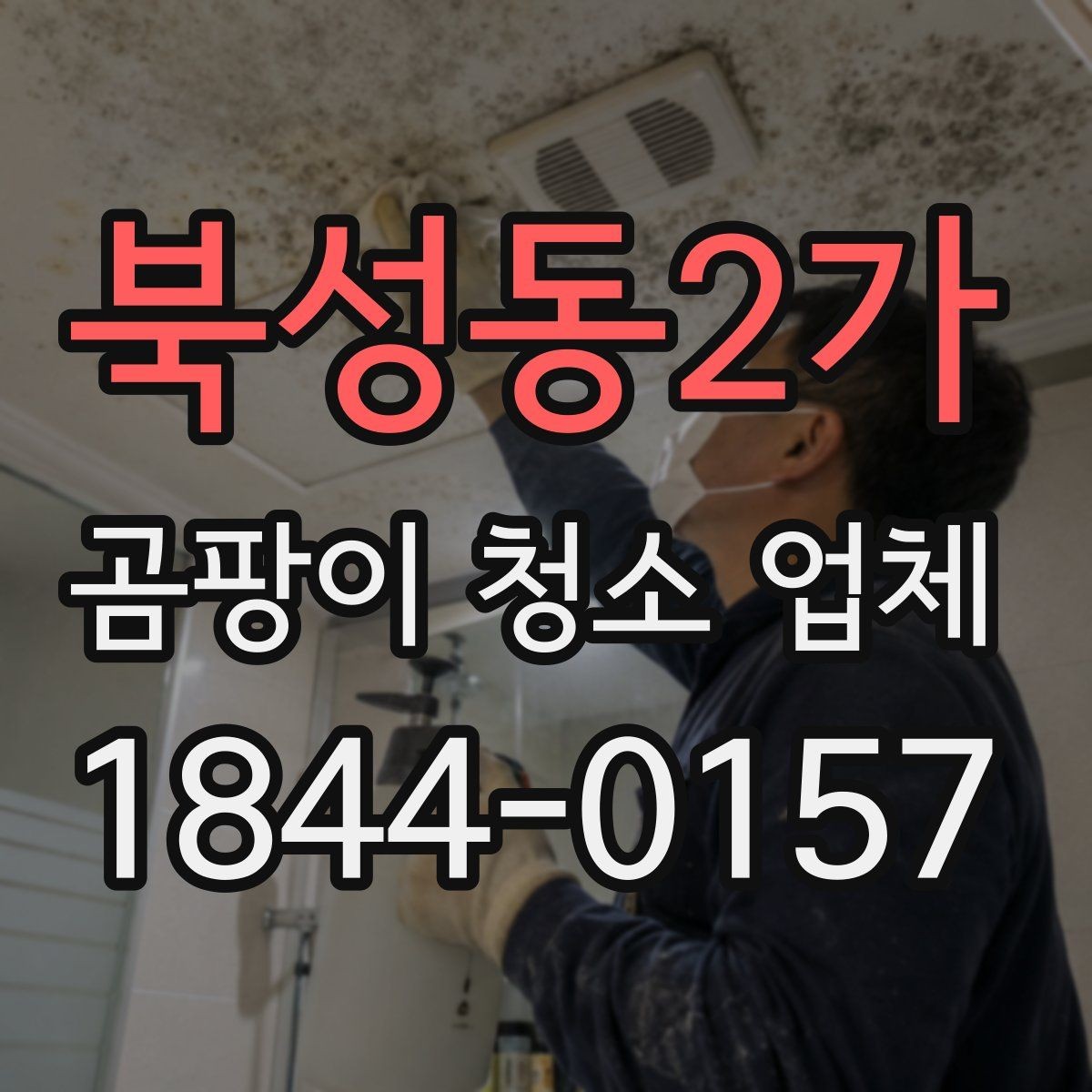 북성동2가 곰팡이 청소 업체 장판 아래 오염이 의심될 때 보는 신호