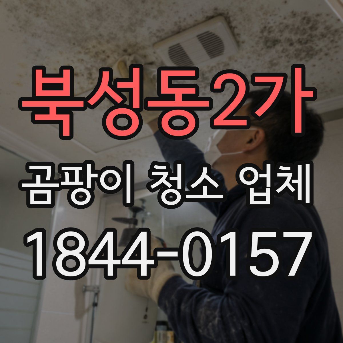 북성동2가 곰팡이 청소 업체