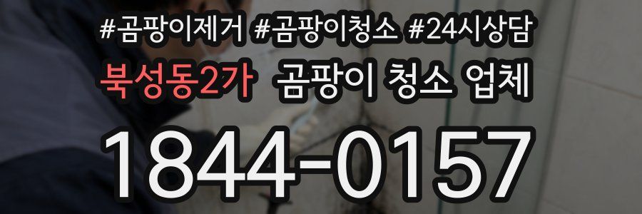 북성동2가 곰팡이 청소 업체