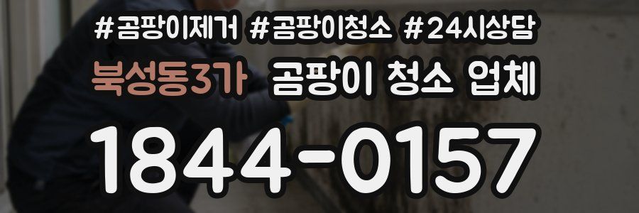 북성동3가 곰팡이 청소 업체