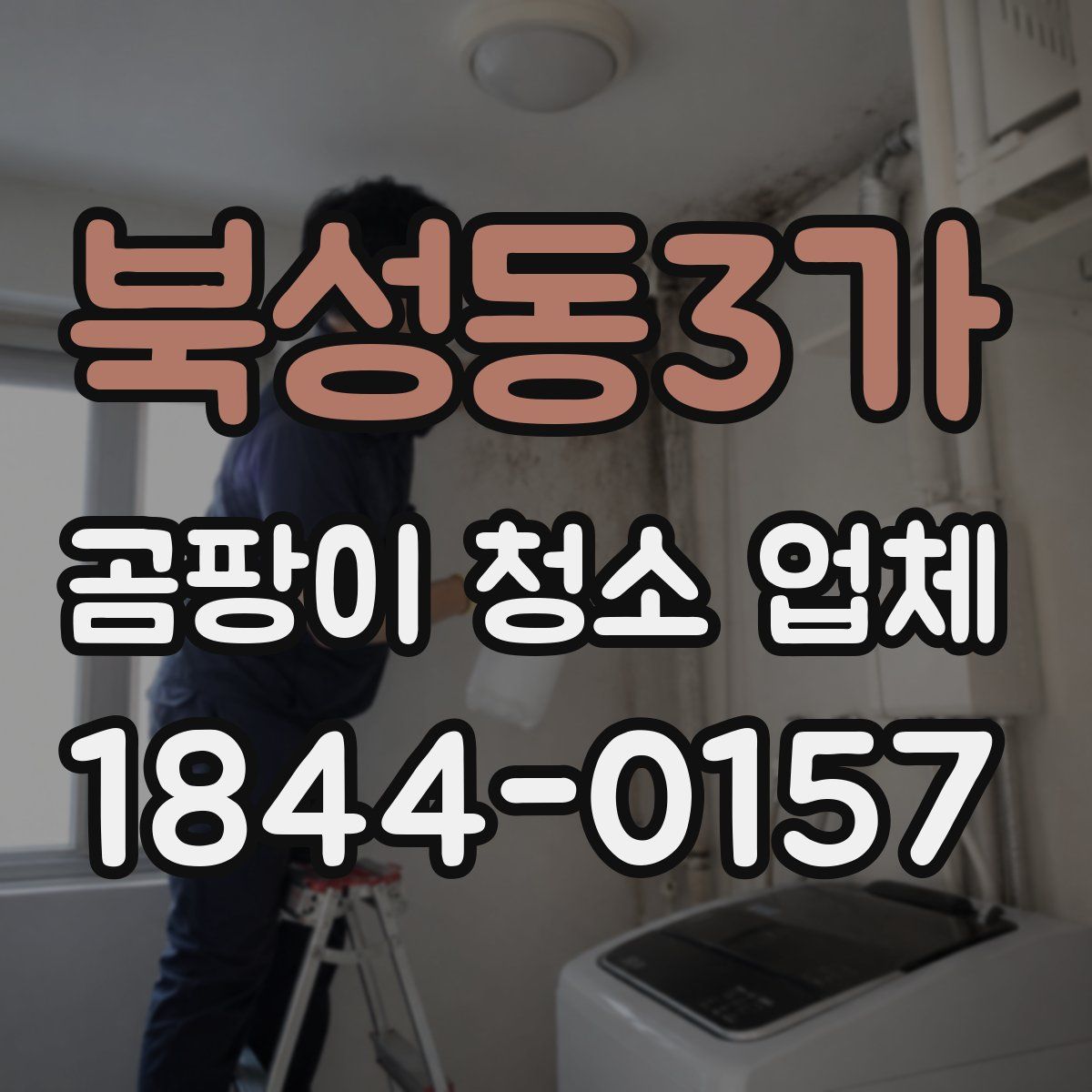 북성동3가 곰팡이 청소 업체