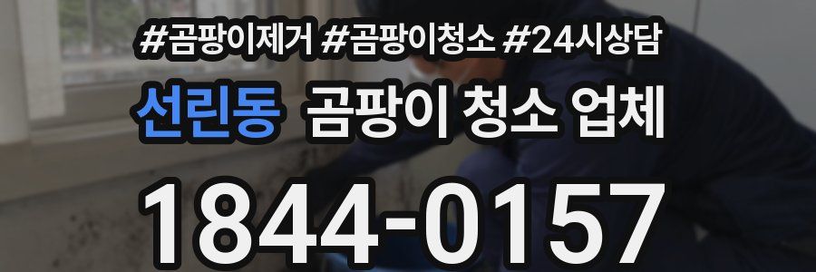 선린동 곰팡이 청소 업체