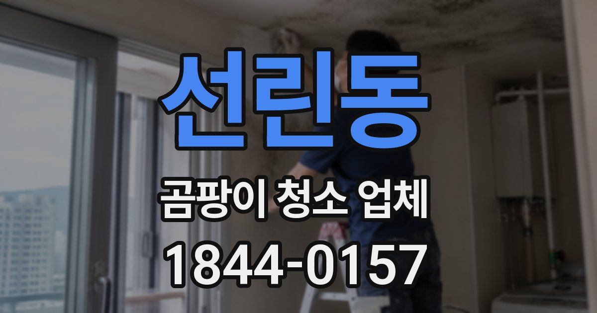선린동 곰팡이 청소 업체
