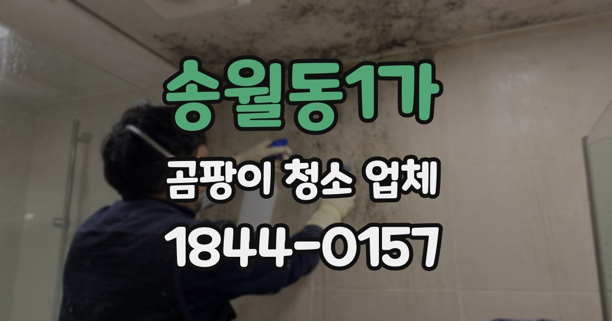 송월동1가 곰팡이 청소 업체