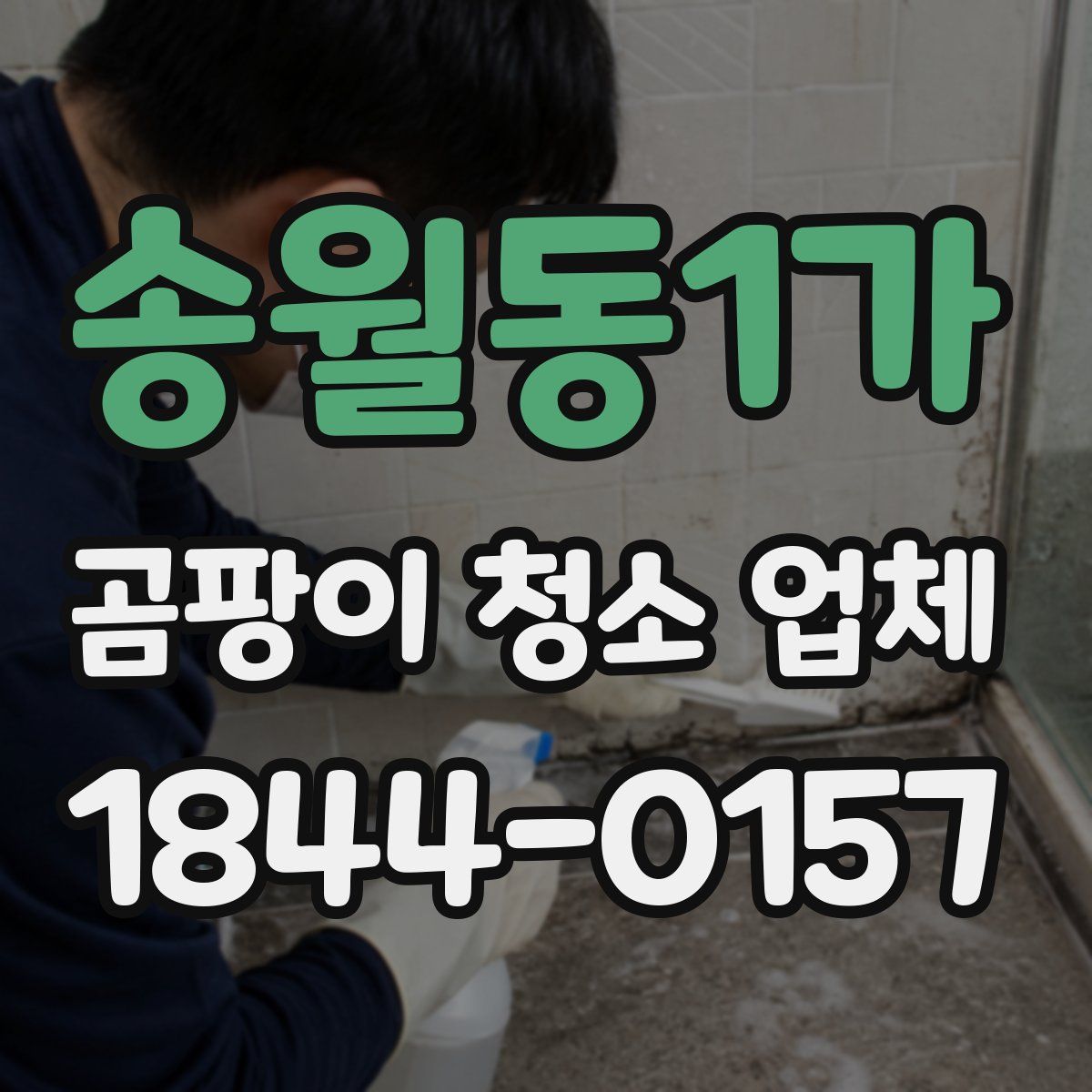 송월동1가 곰팡이 청소 업체