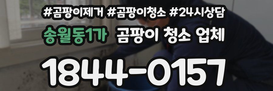 송월동1가 곰팡이 청소 업체