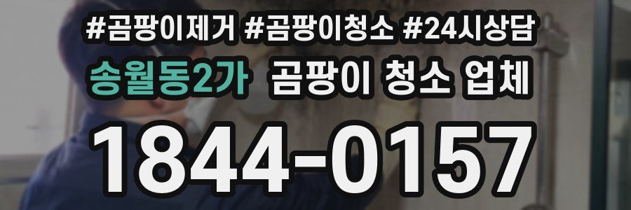 송월동2가 곰팡이 청소 업체
