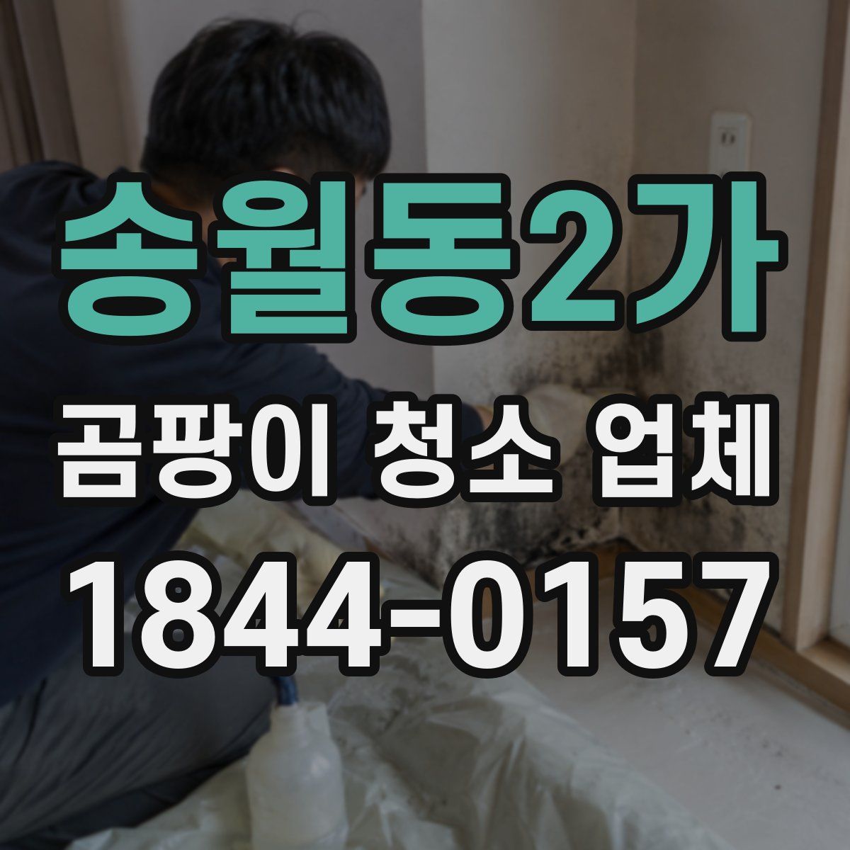 송월동2가 곰팡이 청소 업체
