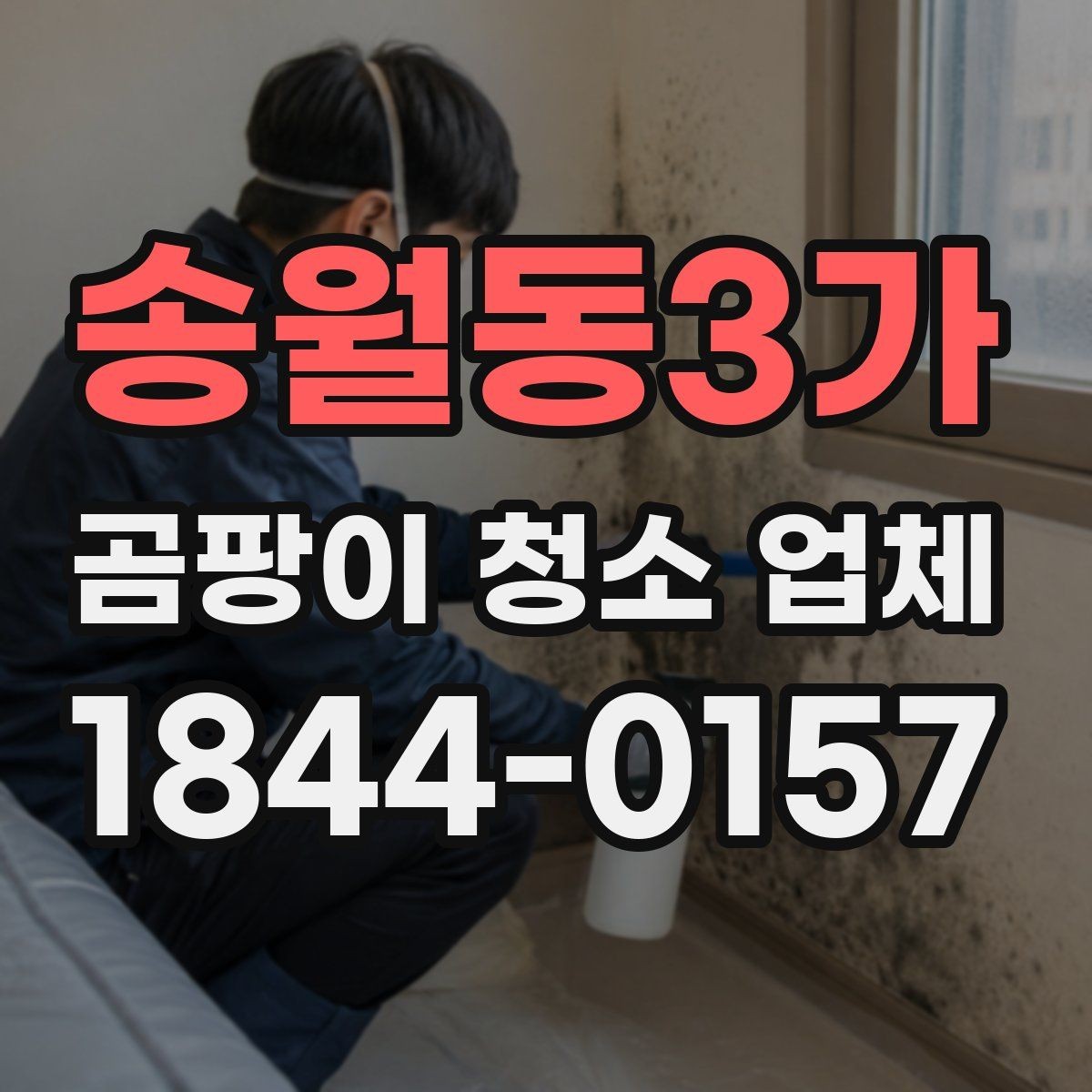 송월동3가 곰팡이 청소 업체 결로와 외벽 누수를 구분해 보는 방법