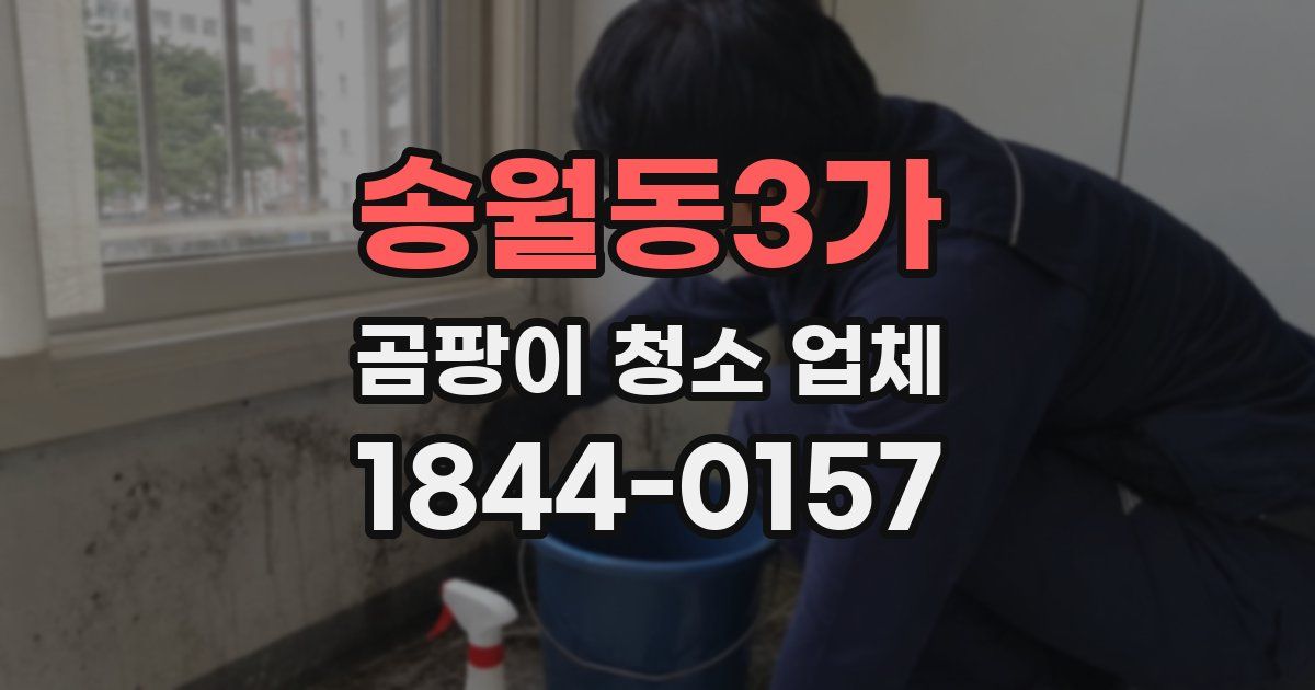 송월동3가 곰팡이 청소 업체