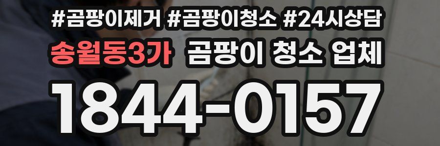 송월동3가 곰팡이 청소 업체