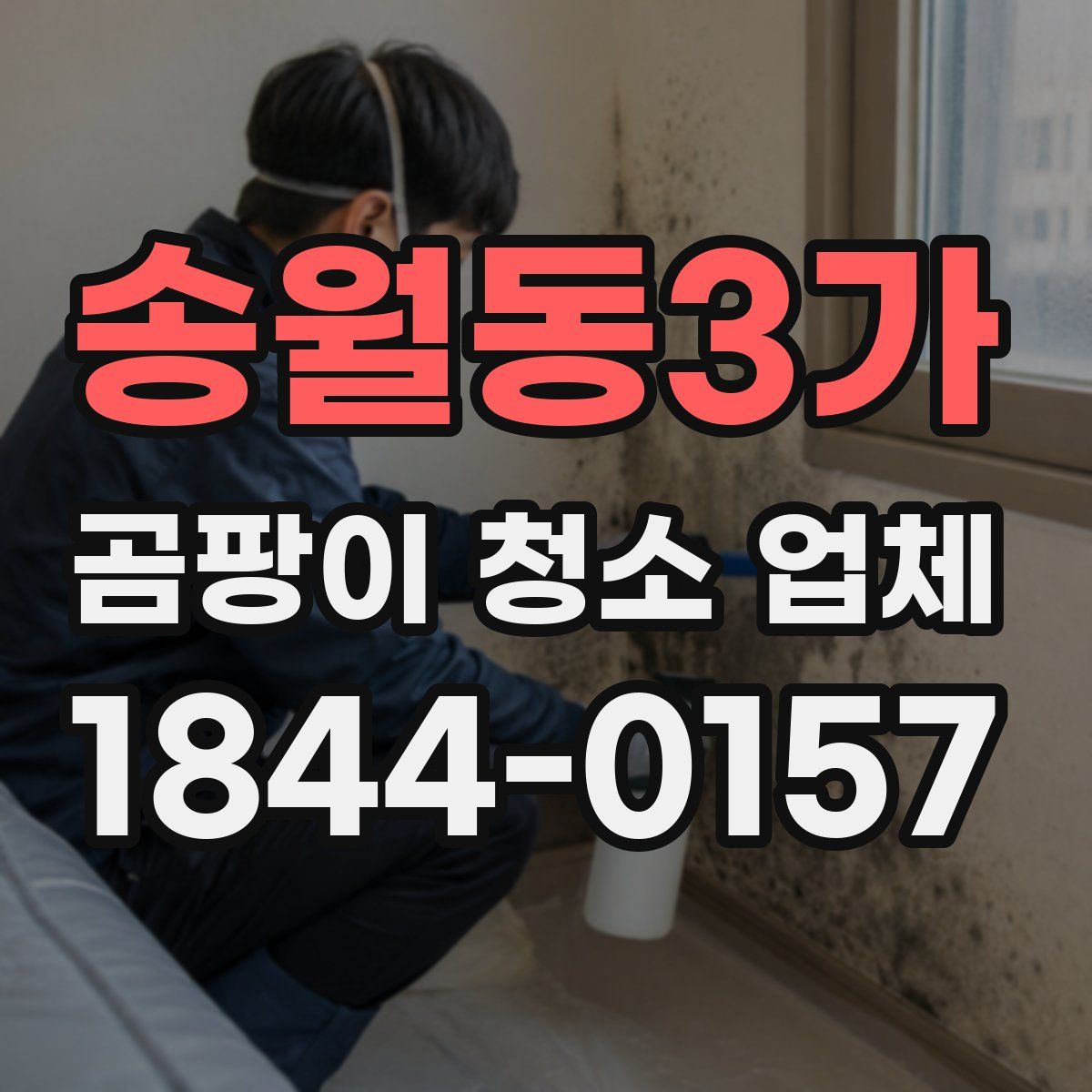 송월동3가 곰팡이 청소 업체