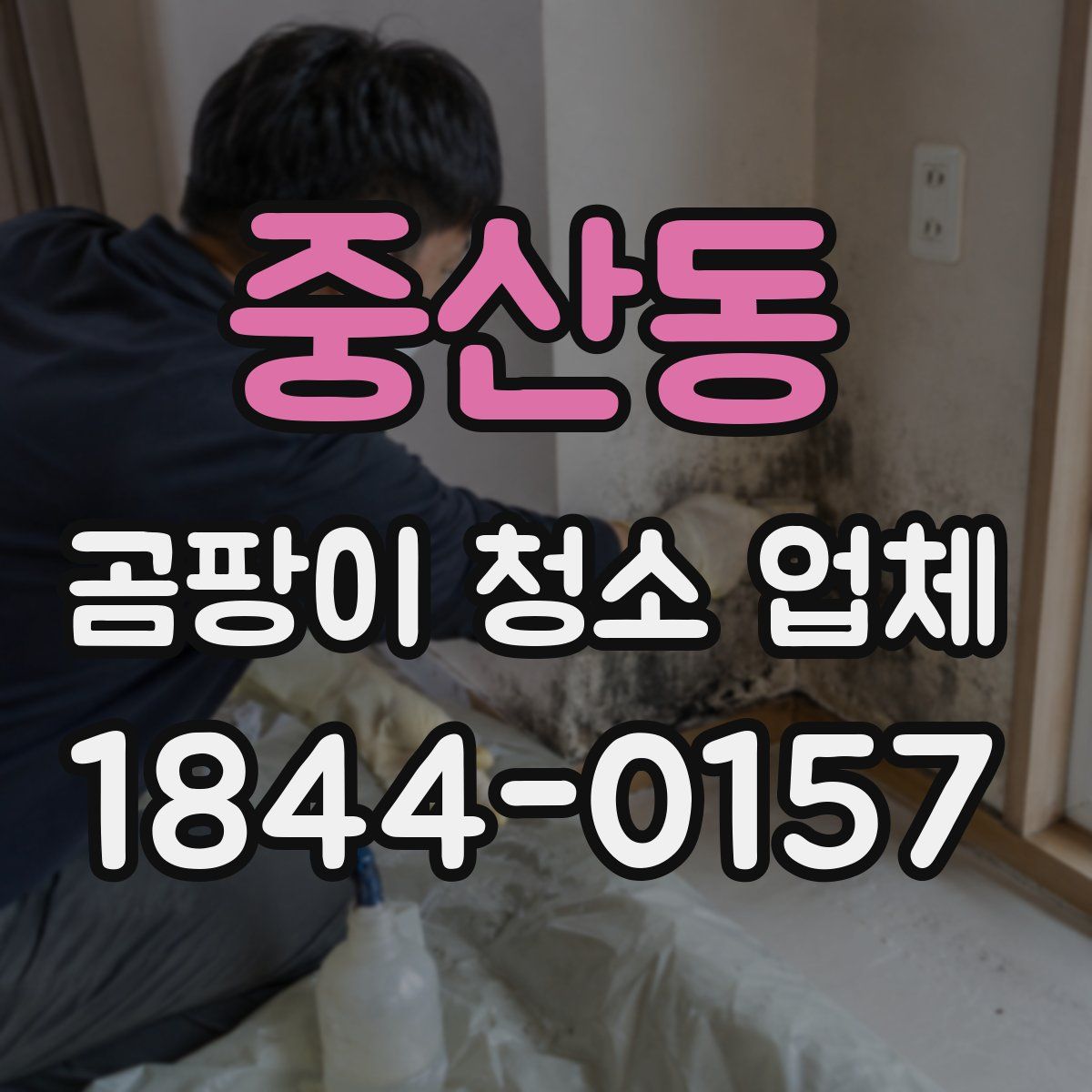 중산동 곰팡이 청소 업체