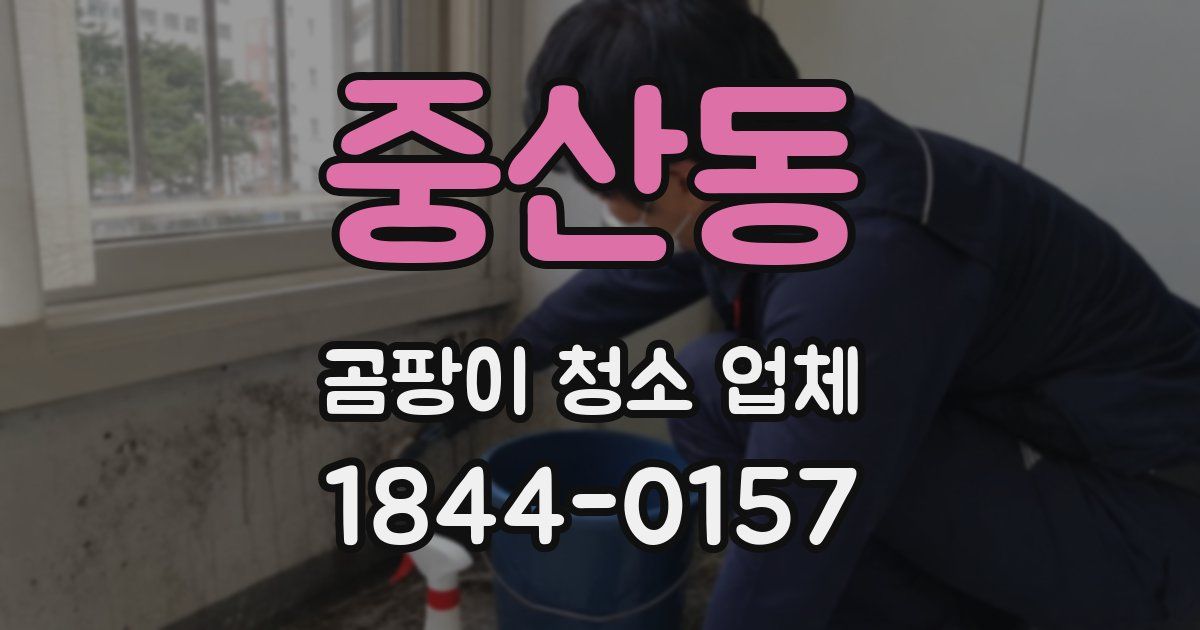 중산동 곰팡이 청소 업체