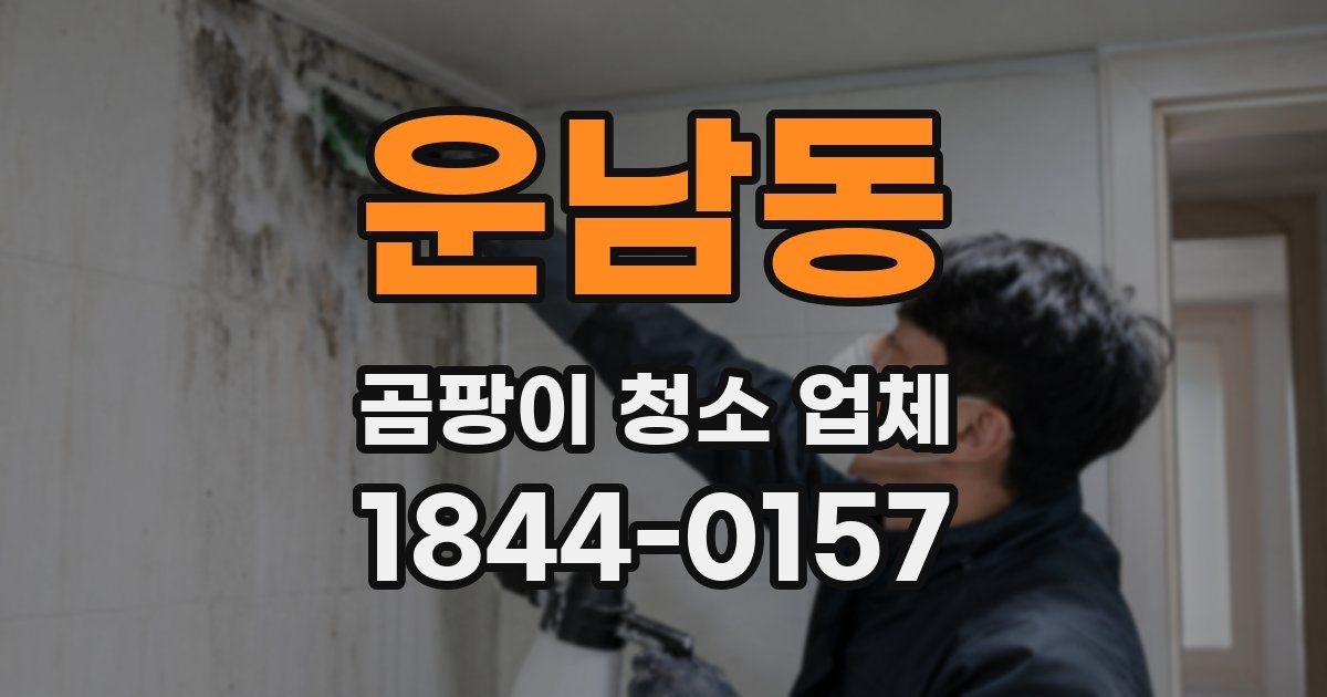 운남동 곰팡이 청소 업체
