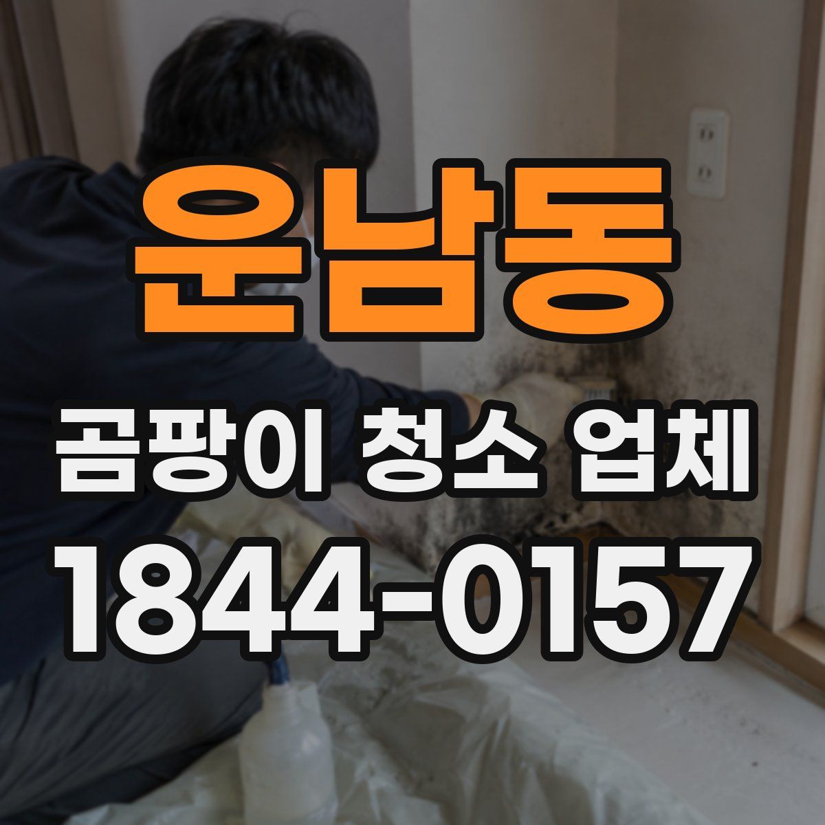 운남동 곰팡이 청소 업체