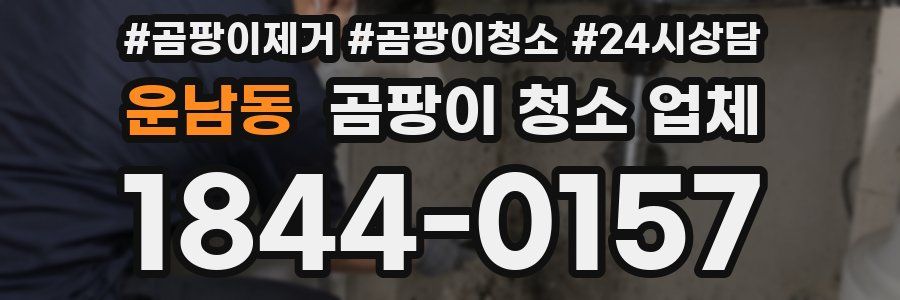 운남동 곰팡이 청소 업체