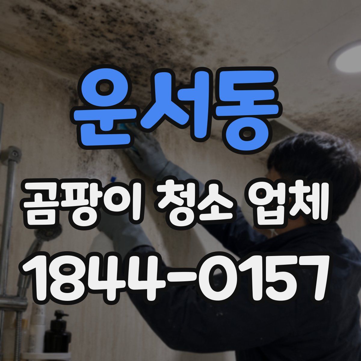 운서동 곰팡이 청소 업체