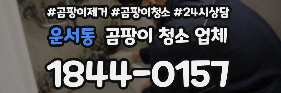 운서동 곰팡이 청소 업체