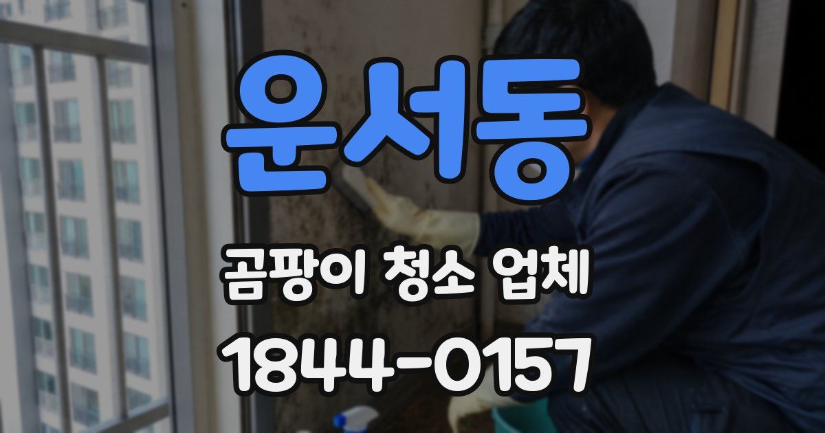 운서동 곰팡이 청소 업체