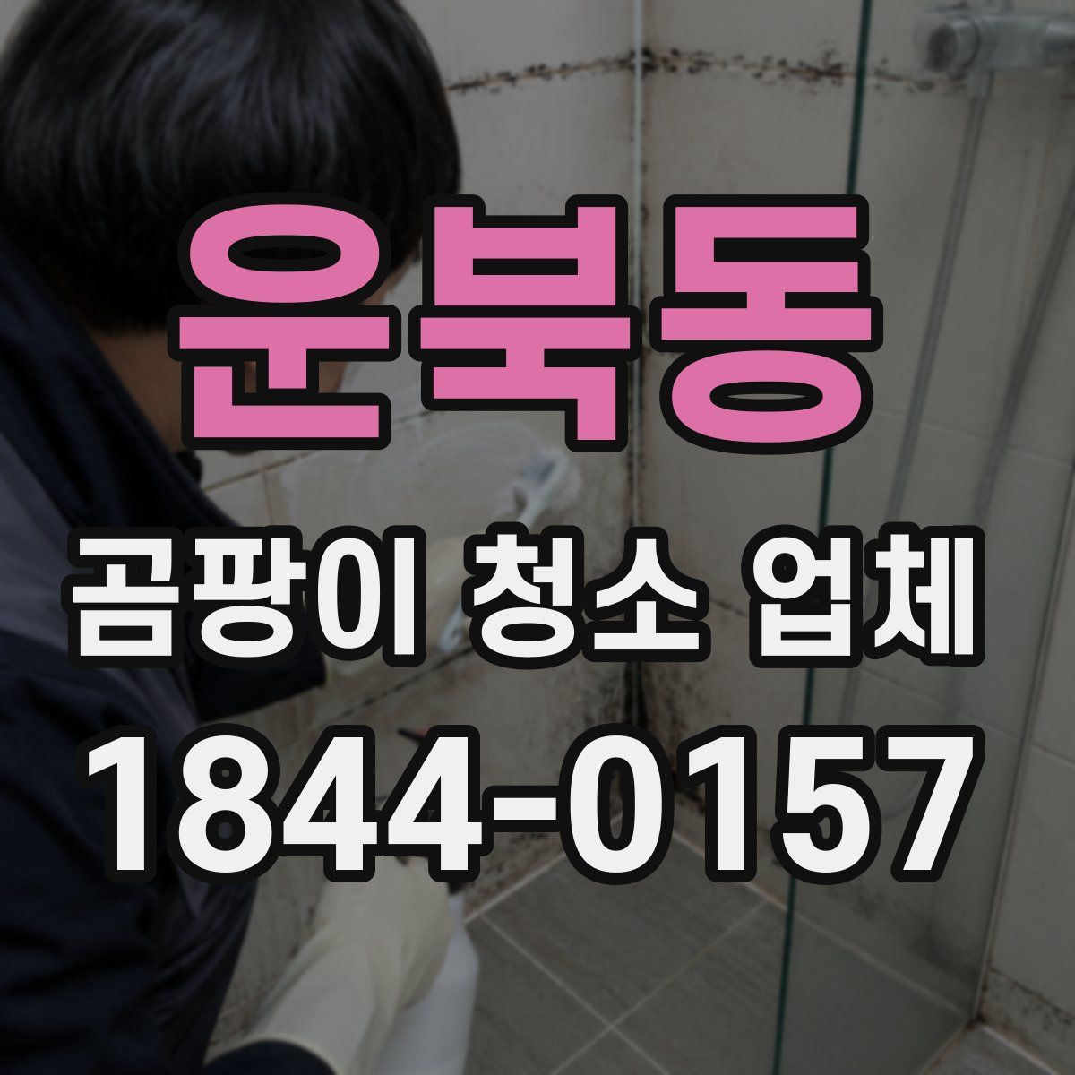 운북동 곰팡이 청소 업체