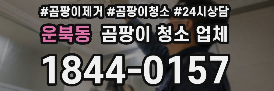 운북동 곰팡이 청소 업체