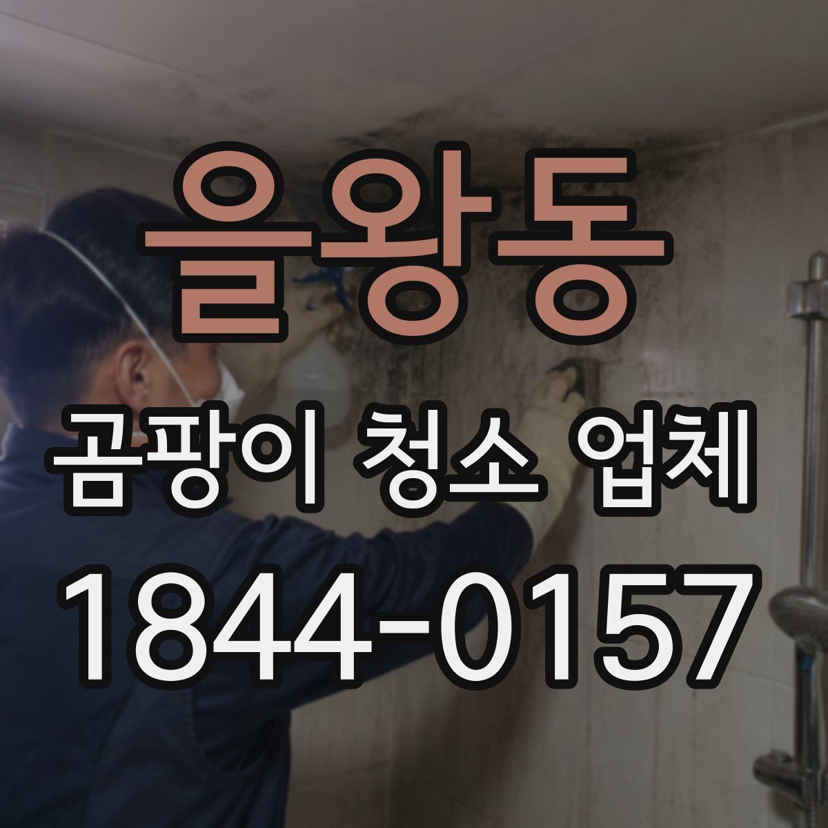 을왕동 곰팡이 청소 업체