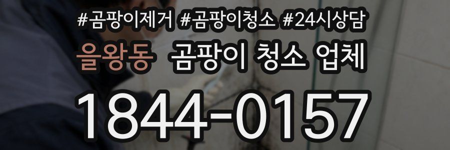 을왕동 곰팡이 청소 업체