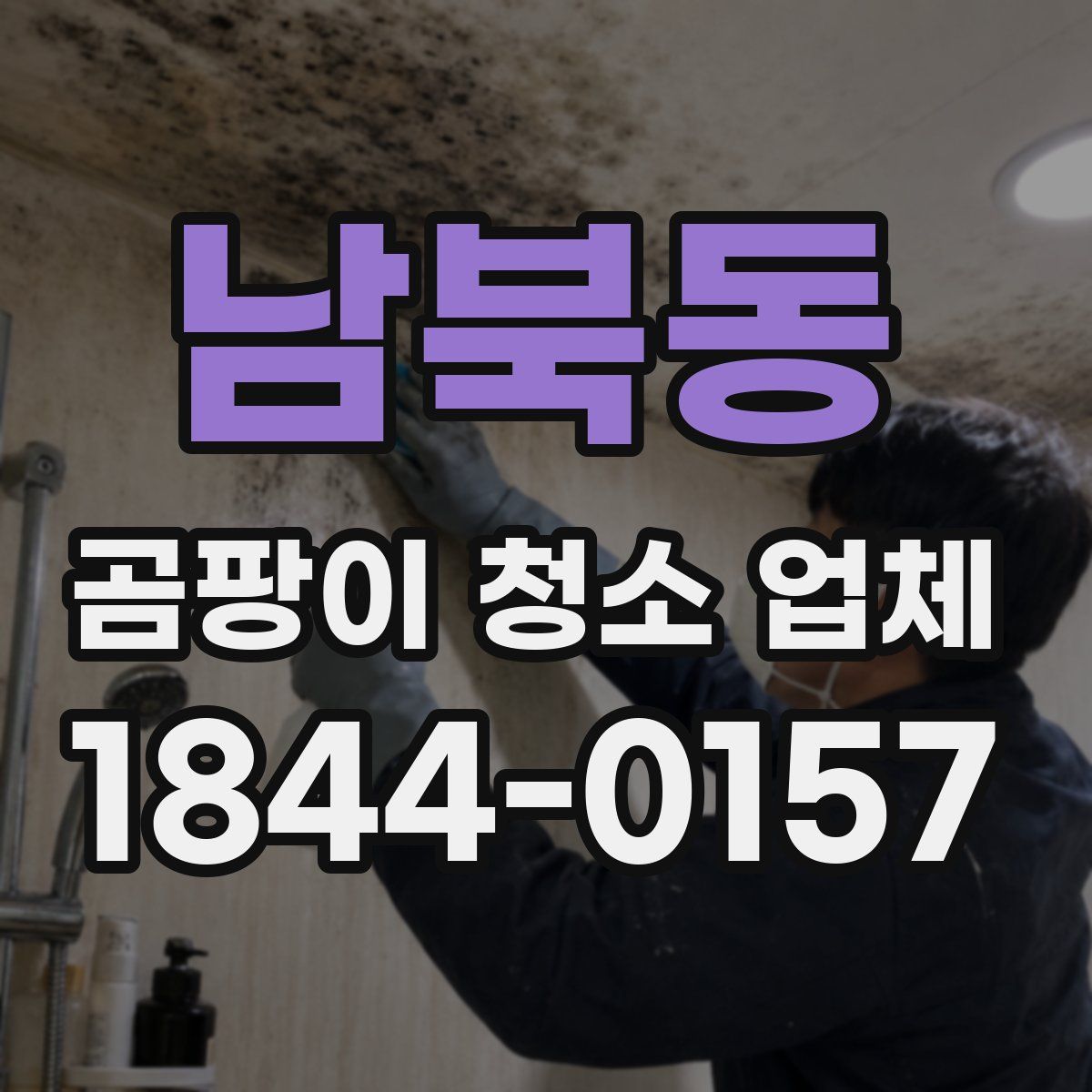 남북동 곰팡이 청소 업체