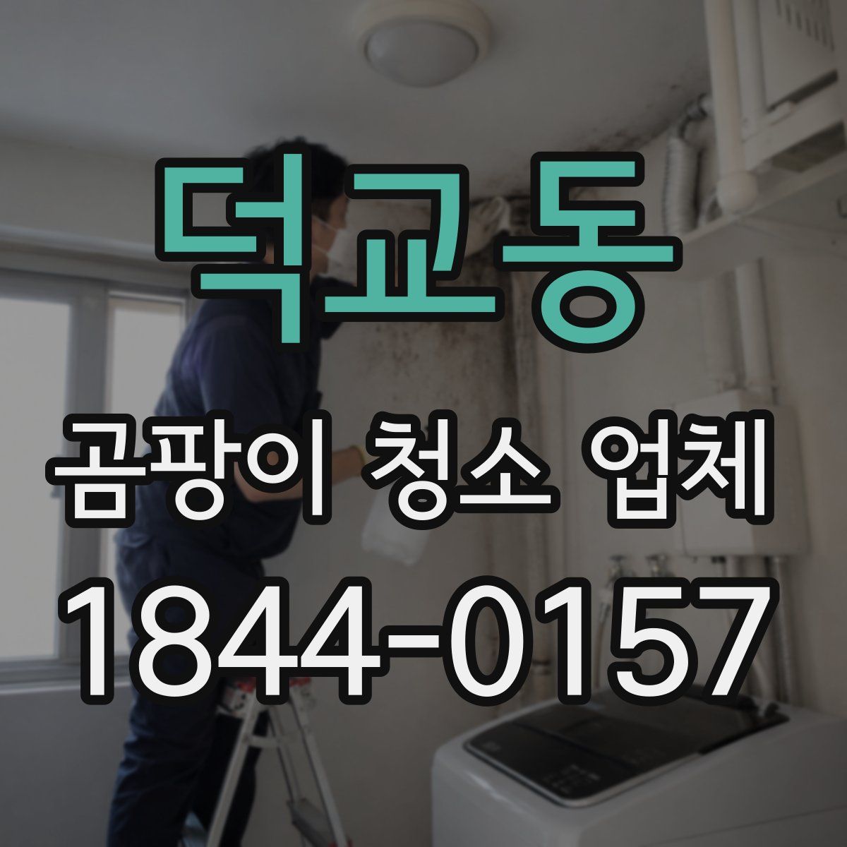 덕교동 곰팡이 청소 업체
