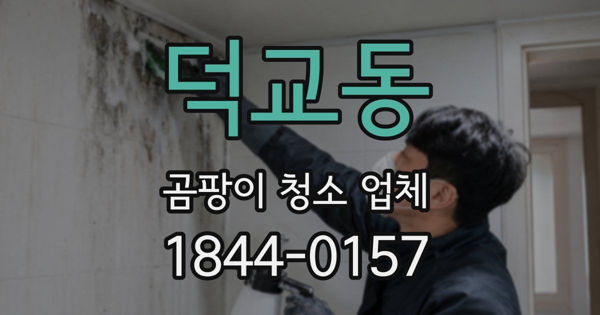 덕교동 곰팡이 청소 업체