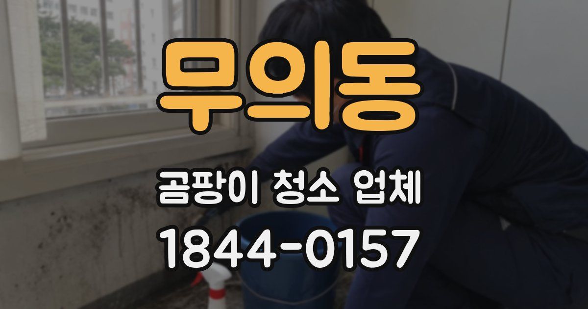 무의동 곰팡이 청소 업체