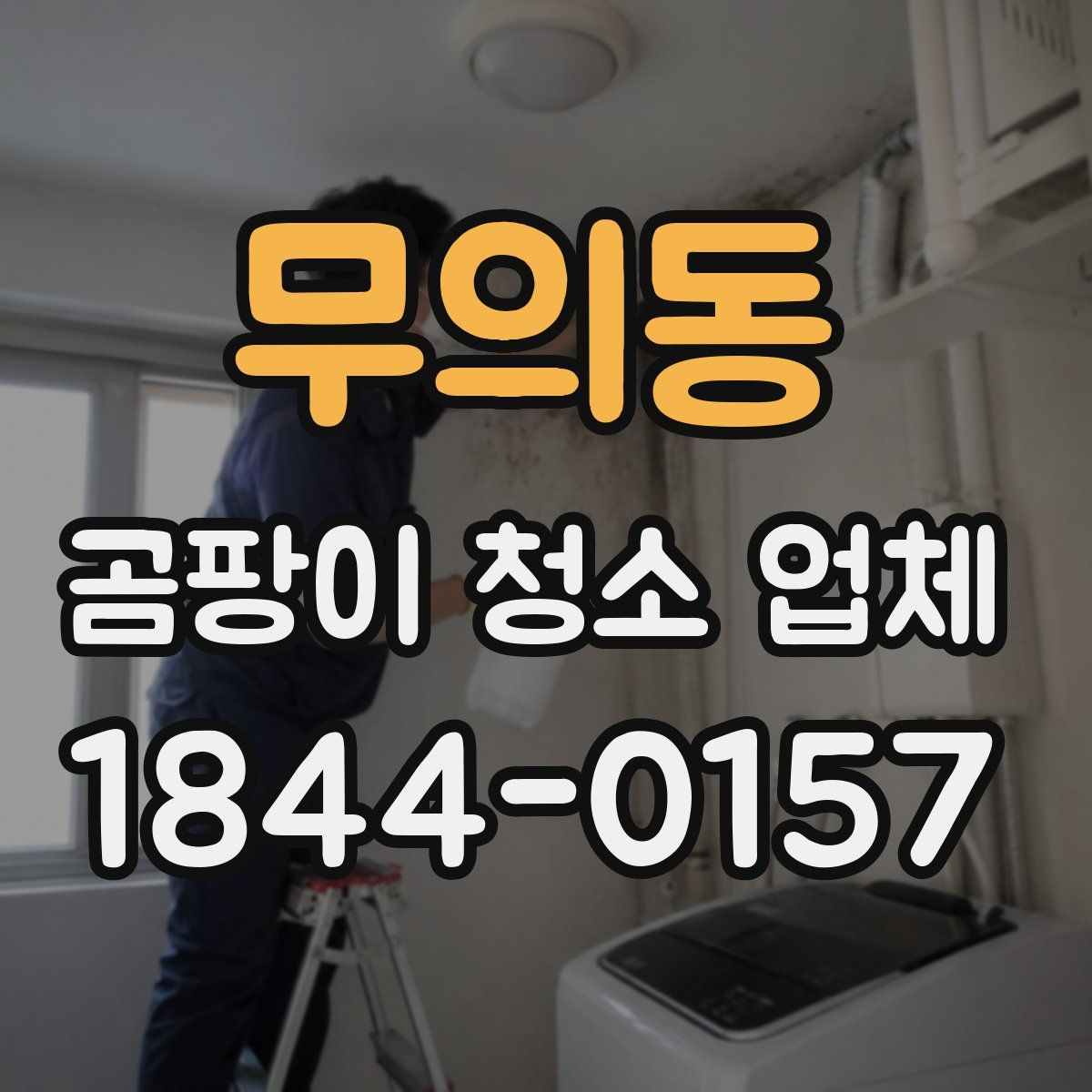무의동 곰팡이 청소 업체