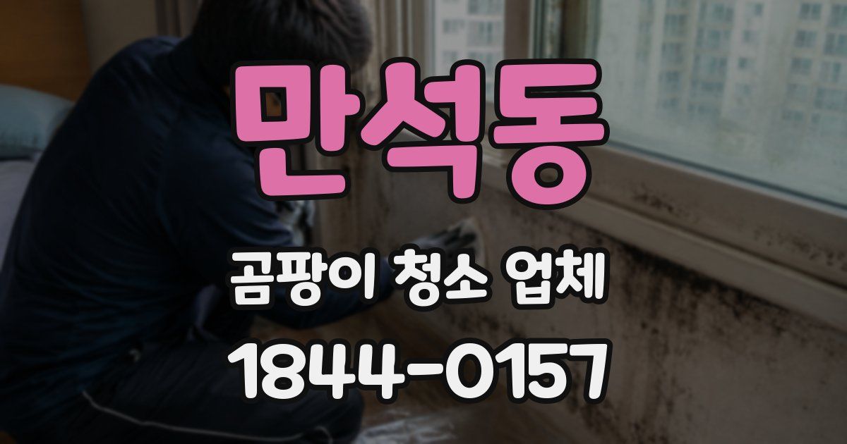 만석동 곰팡이 청소 업체
