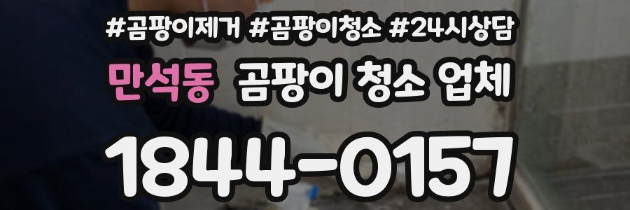 만석동 곰팡이 청소 업체