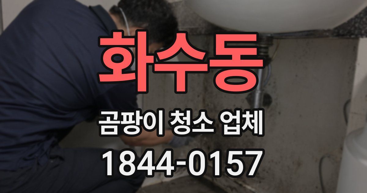 화수동 곰팡이 청소 업체