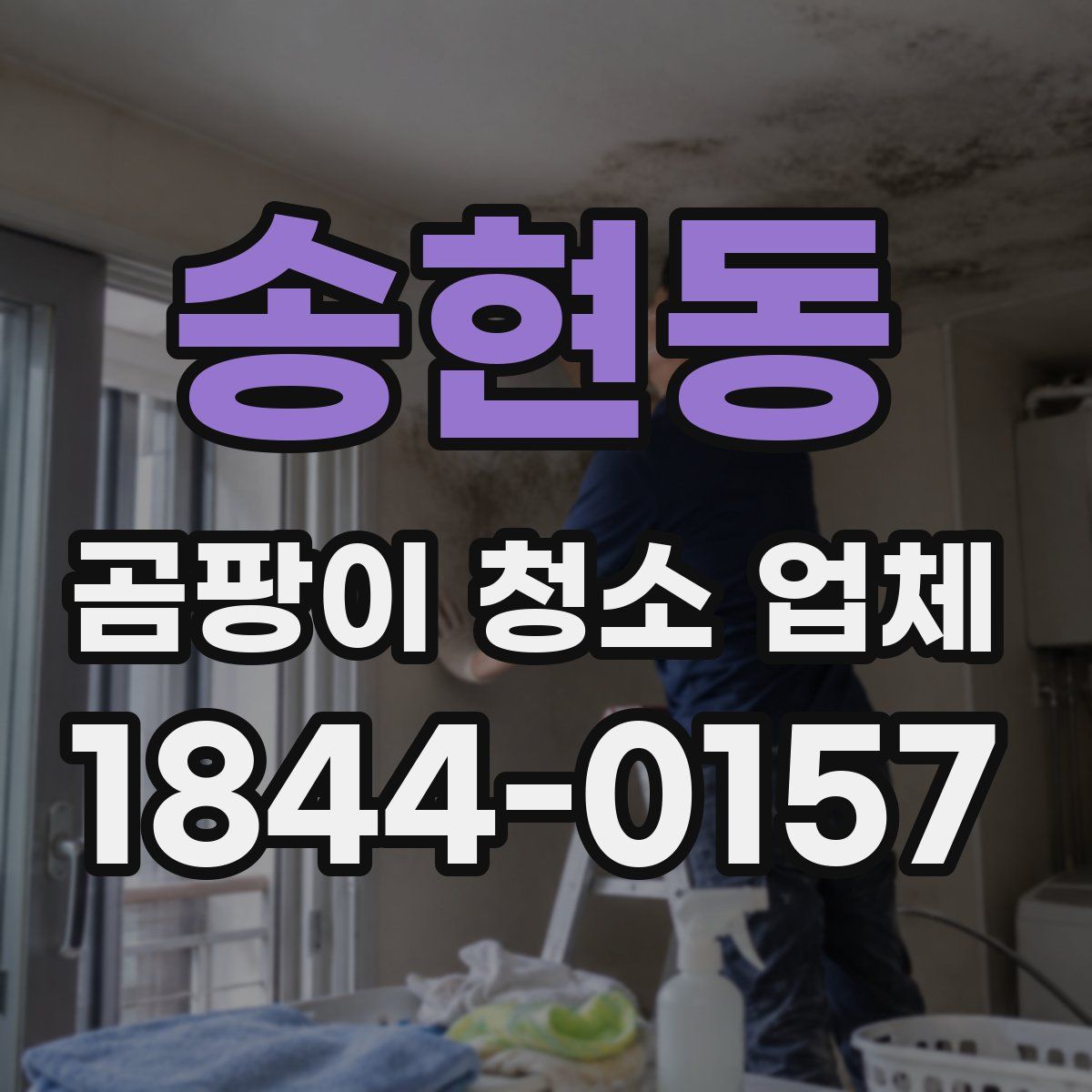 송현동 곰팡이 청소 업체
