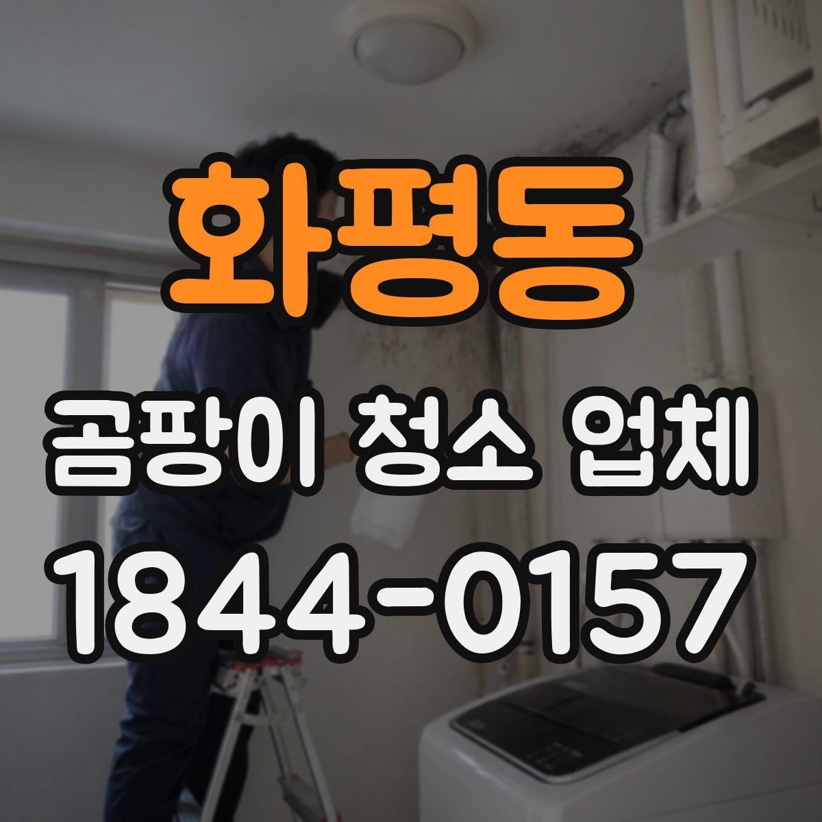 화평동 곰팡이 청소 업체 제거제와 장비를 선택할 때 보는 기준