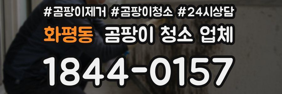 화평동 곰팡이 청소 업체
