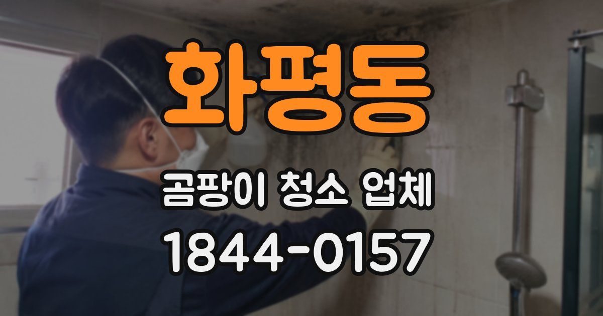 화평동 곰팡이 청소 업체