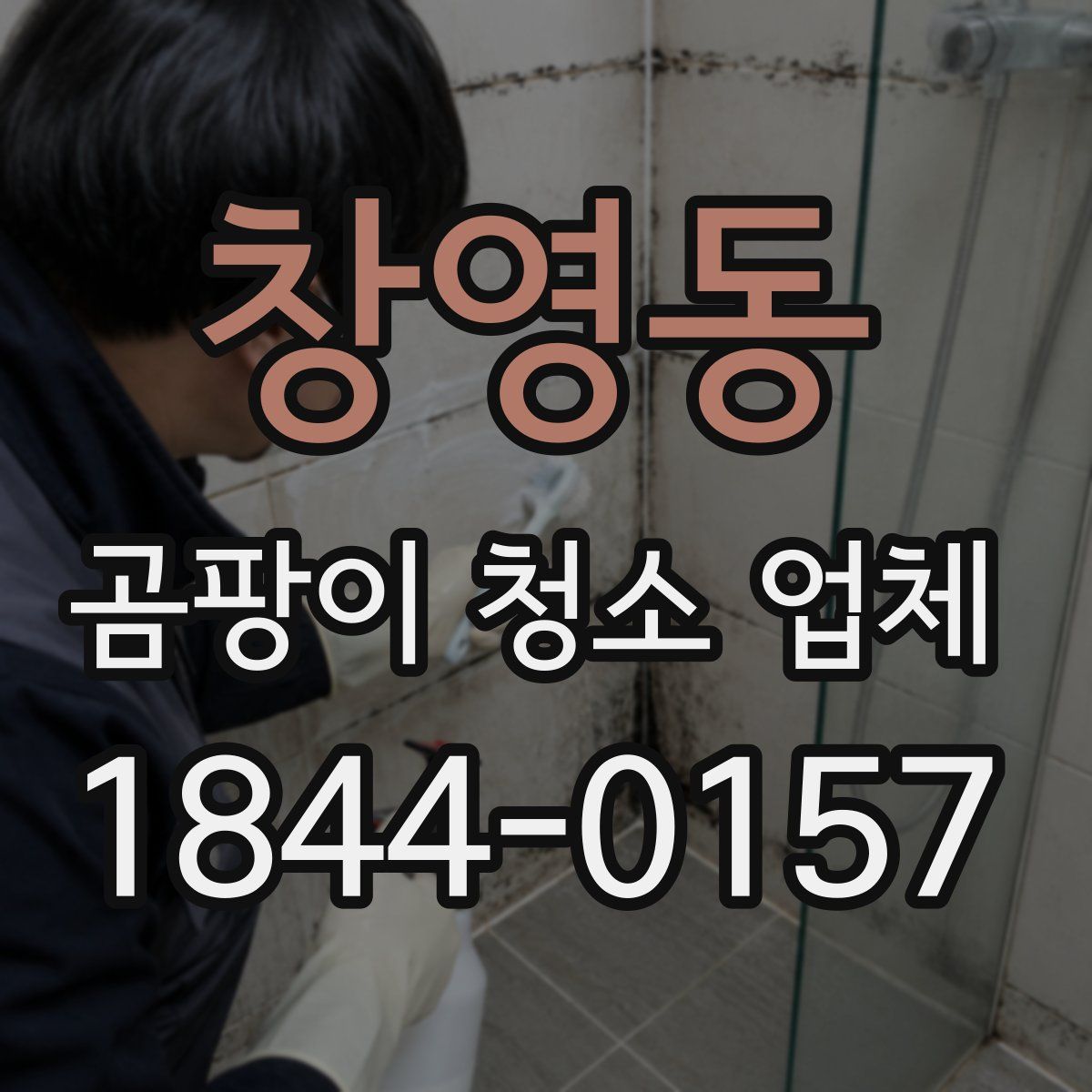 창영동 곰팡이 청소 업체