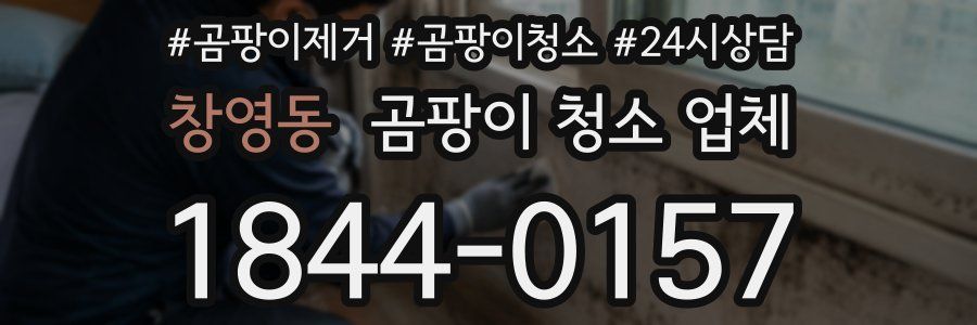 창영동 곰팡이 청소 업체